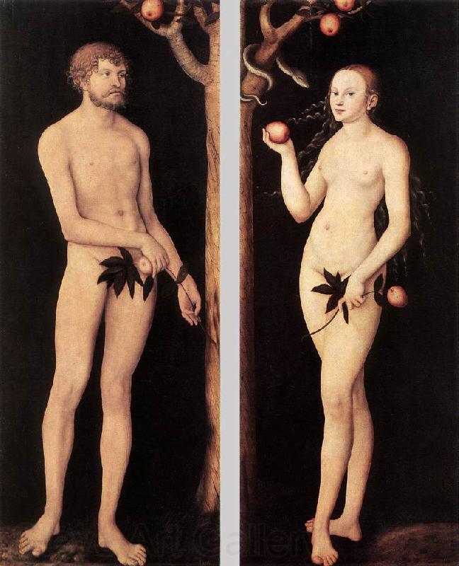CRANACH, Lucas the Elder Adam and Eve 01 Germany oil painting art